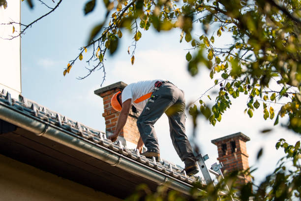 Best Flat Roof Repair Services  in Hughes Springs, TX